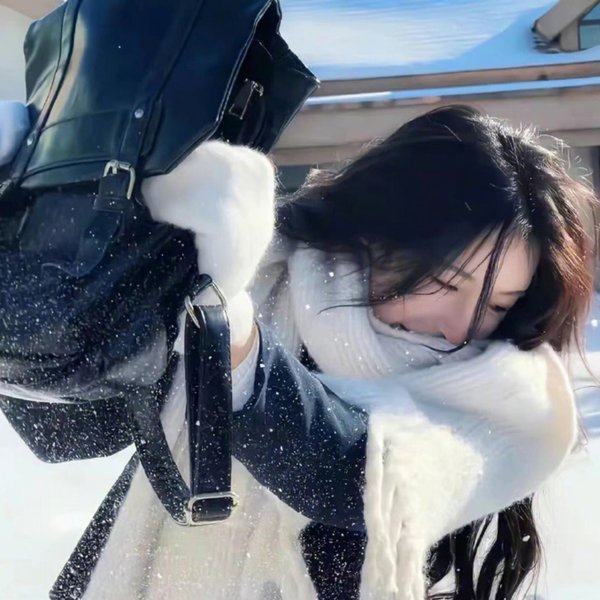 小杜丽